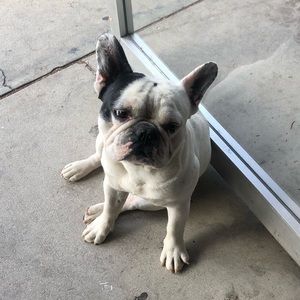 Meet your Posher, Kristin